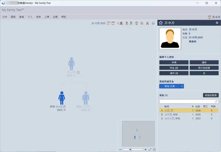 族谱制作工具My Family Tree v16.0.0.0绿色版-华夏圈