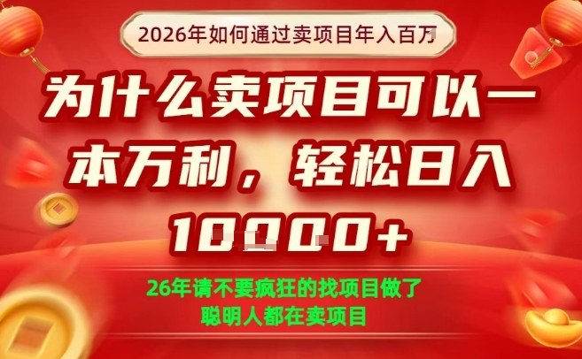 一单净利润1K+，26年想年入100个W，死磕卖项目就够了【揭秘】-华夏圈