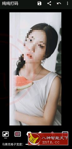 纯纯打码v4.10.2高级版-华夏圈