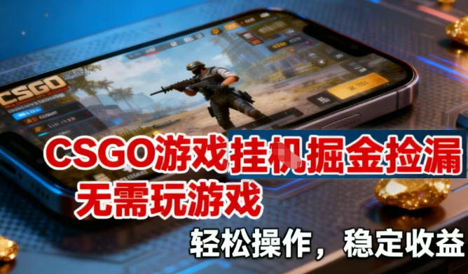 CSGO游戏挂G掘金捡漏，不需要玩游戏，操作简单，收益稳定【揭秘】-华夏圈