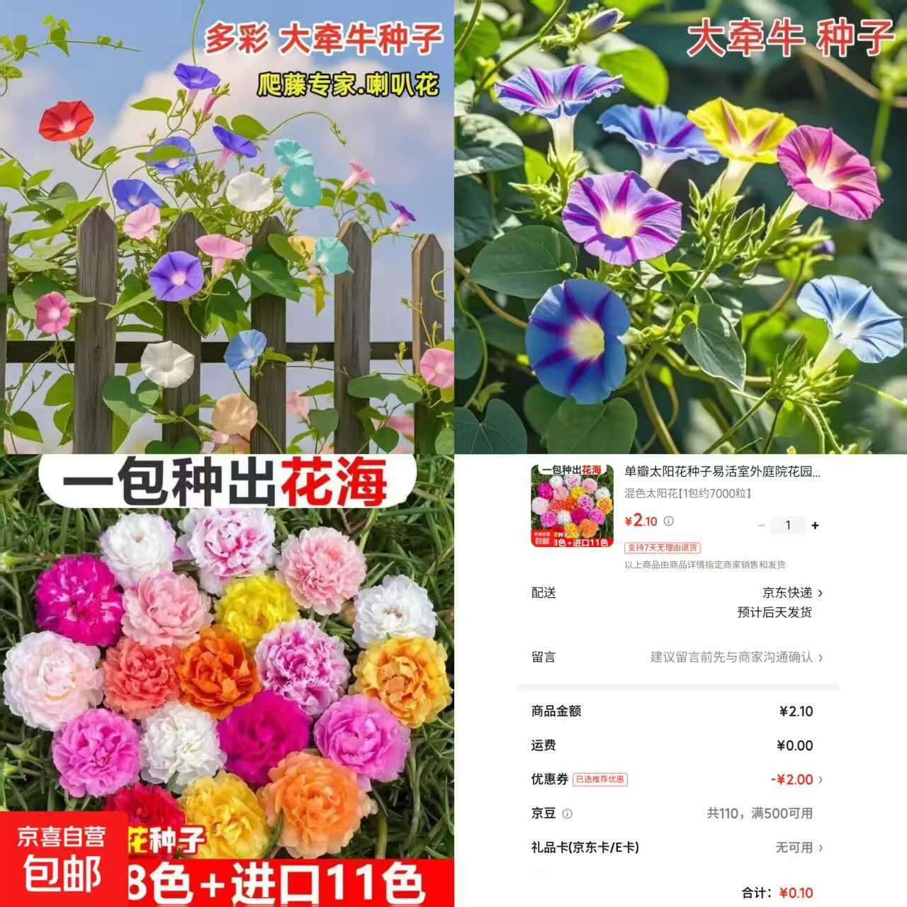 京东0.1太阳花种子约7000粒-华夏圈