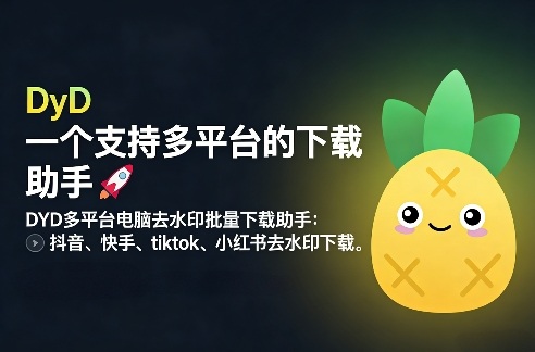 DYD多平台电脑去水印批量下载助手：抖音、快手、tiktok、小红书去水印下载