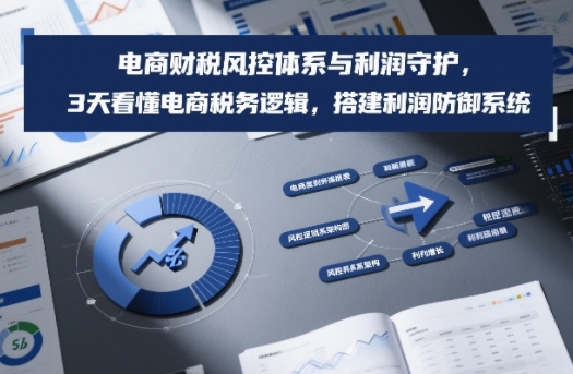 电商财税风控体系与利润守护，3天看懂电商税务逻辑，搭建利润防御系统-华夏圈