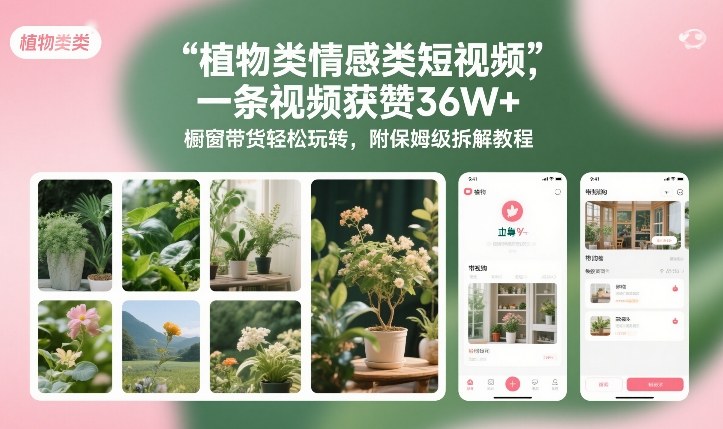 植物类情感类短视频，一条视频获赞36W+，橱窗带货轻松玩转，附保姆级拆解教程-华夏圈