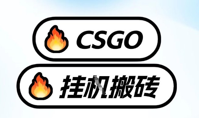 真全网独家CSGO挂G，最新玩法,单日捡漏1K+，不用电脑，不用打游戏【揭秘】-华夏圈