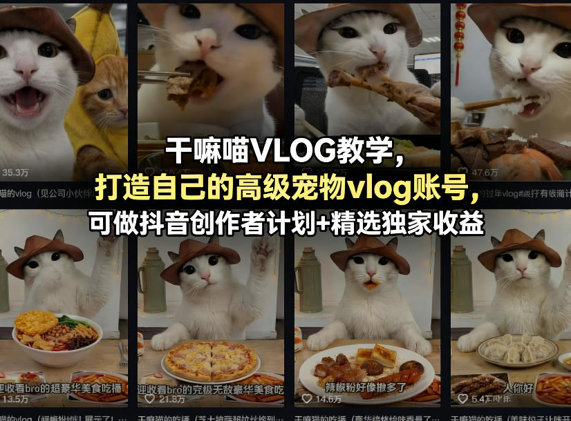 干嘛喵VLOG教学，打造自己的高级宠物vlog账号，可做抖音创作者计划+精选独家收益-华夏圈