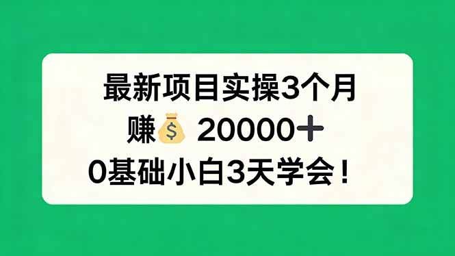（17856期）最新项目实操3个月，赚钱20000+，0基础小白3天学会！-华夏圈