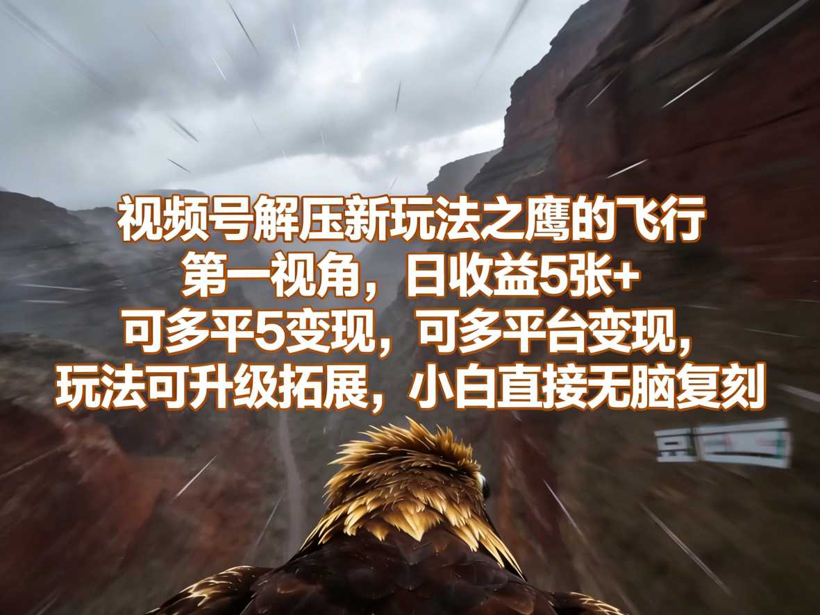 视频号解压新玩法之鹰的飞行第一视角，日收益5张+，可多平台变现，玩法可升级拓展，小白直接无脑复刻-华夏圈